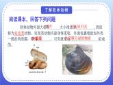 1.3《软体动物和节肢动物》教案+课件