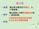 济南版七年级下册生物 1.1食物的营养成分 课件
