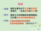济南版七年级下册生物 1.1食物的营养成分 课件
