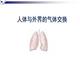 济南版七年级下册生物 2.1人体与外界的气体交换 课件