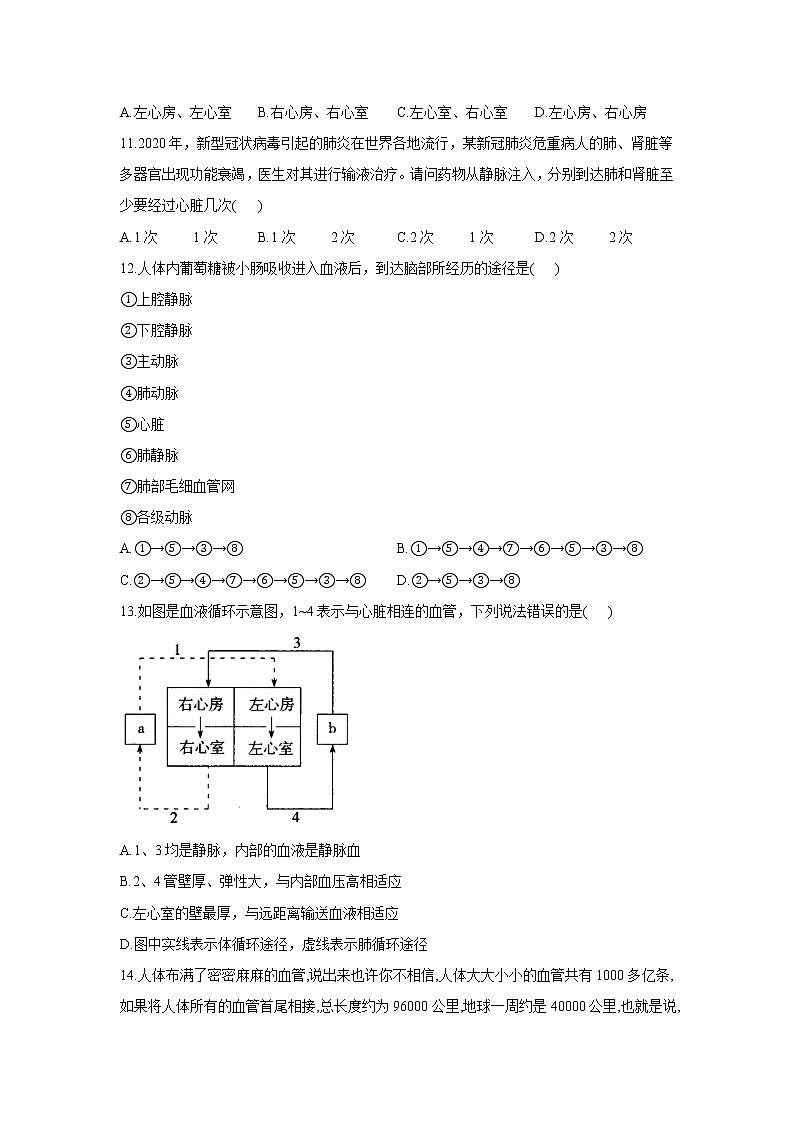 生物北师大版七年级下册同步课时作业 4.9.2血液循环 练习02