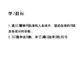 济南版七年级下册生物 3.1物质运输的载体 课件