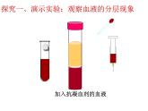 济南版七年级下册生物 3.1物质运输的载体 课件