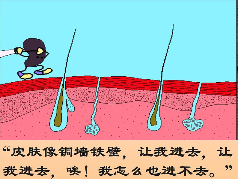 济南版七年级下册生物 6.1人体的免疫功能 课件第3页