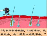 济南版七年级下册生物 6.1人体的免疫功能 课件