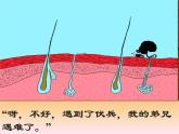 济南版七年级下册生物 6.1人体的免疫功能 课件