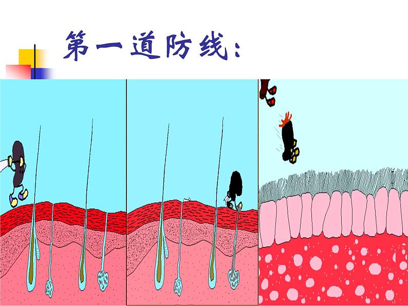 济南版七年级下册生物 6.1人体的免疫功能 课件第7页