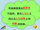 济南版七年级下册生物 6.2传染病及其预防 课件