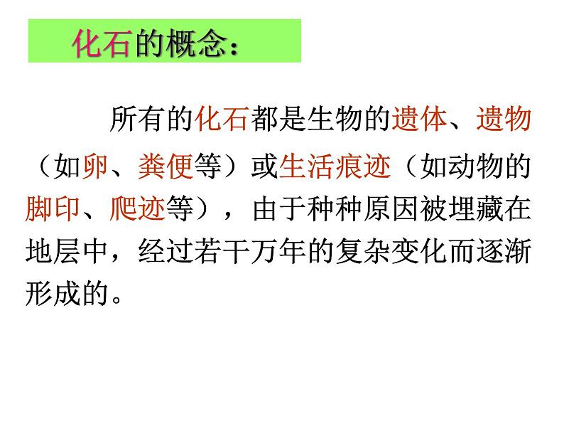 济南社八年级下册生物  5.1.3生物进化的历程 课件第6页