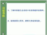 济南社八年级下册生物  6.2.2食物链和食物网 课件