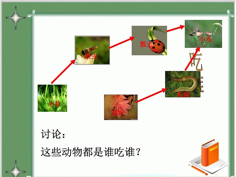 济南社八年级下册生物  6.2.2食物链和食物网 课件第4页