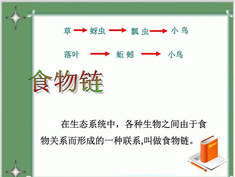 济南社八年级下册生物  6.2.2食物链和食物网 课件第5页