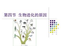 济南版八年级下册第四节 生物进化的原因课文配套ppt课件