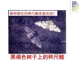 济南社八年级下册生物  5.1.4生物进化的原因 课件