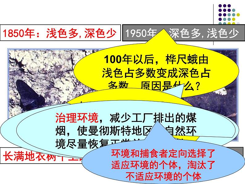 济南社八年级下册生物  5.1.4生物进化的原因 课件第5页