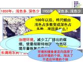 济南社八年级下册生物  5.1.4生物进化的原因 课件