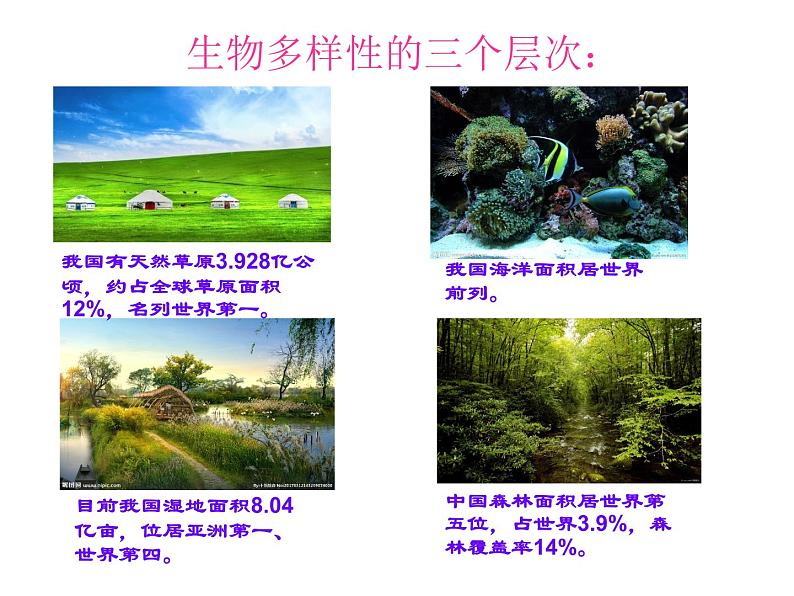 济南社八年级下册生物  6.3.1生物多样性 课件第8页