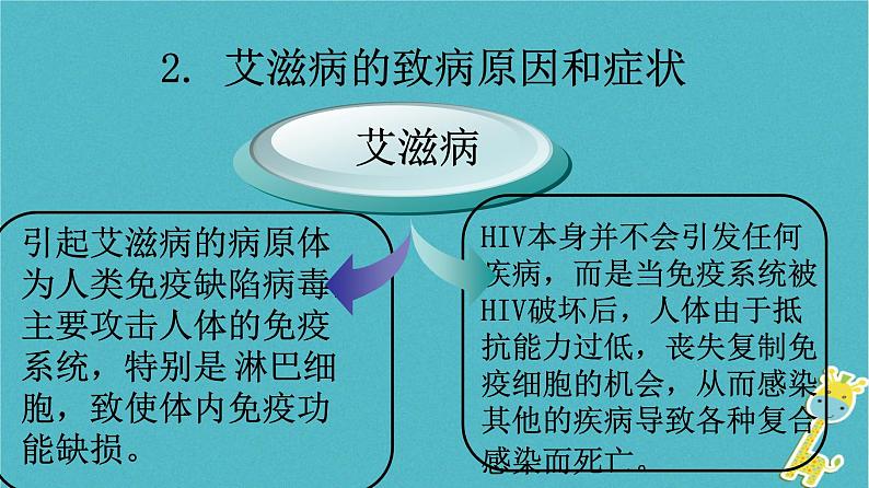 冀教版七年级下册生物 6.3 艾滋病的发生与流行 课件07