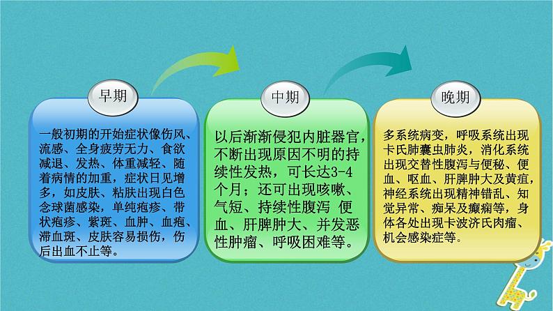 冀教版七年级下册生物 6.3 艾滋病的发生与流行 课件08