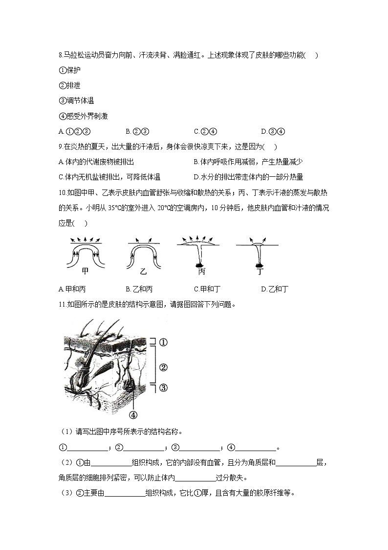 生物北师大版七年级下册同步课时作业 4.11.3皮肤与汗液分泌第2页