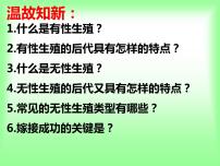 初中冀教版第二节  动物的生殖和发育多媒体教学ppt课件