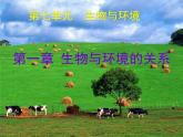 冀教版八年級(jí)下冊(cè)生物  7.1.1環(huán)境對(duì)生物的影響 課件