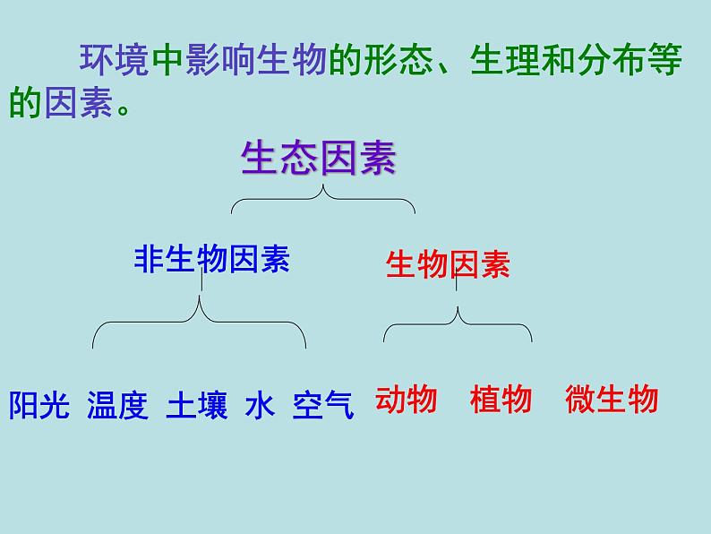 冀教版八年级下册生物  7.1.1环境对生物的影响 课件07