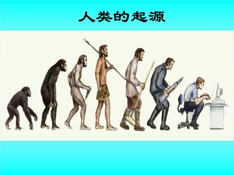 冀教版八年级下册生物  6.3.3人类的起源 课件第1页