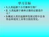 冀教版八年级下册生物  6.3.3人类的起源 课件