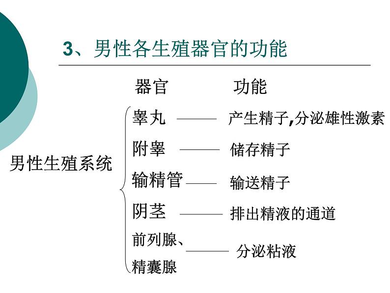 冀教版八年级下册生物  6.1.3人的生殖和胚胎发育 课件第7页