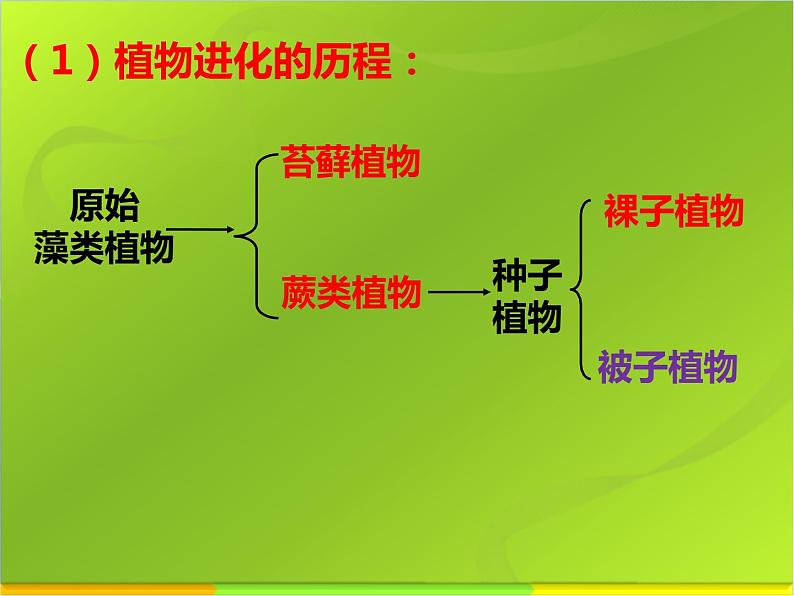 冀教版八年级下册生物  6.3.2生物的进化 课件第7页