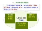 冀教版八年级下册生物  7.3.3保护生物多样性 课件