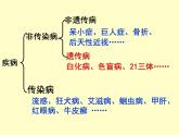 冀教版八年级下册生物  6.2.3遗传病与优生 课件
