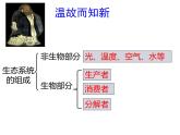 冀教版八年级下册生物  7.2.2食物链和食物网 课件