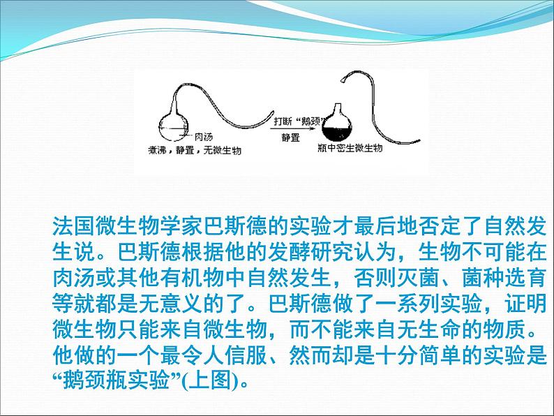 冀教版八年级下册生物  6.3.1生命的起源 课件06