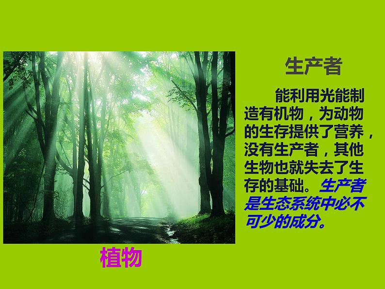 冀教版八年级下册生物  7.2.1生态系统的组成和类型 课件08