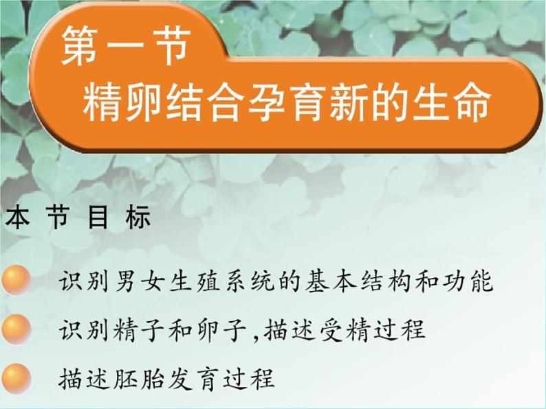 苏教版七年级下册生物 8.1 精卵结合孕育新的生命 课件03