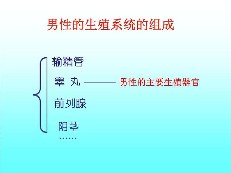 苏教版七年级下册生物 8.1 精卵结合孕育新的生命 课件07