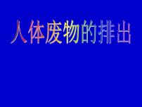 2021学年第二节 人体废物的排出背景图课件ppt