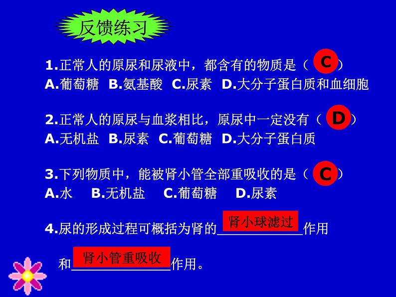 苏教版七年级下册生物 11.2人体废物的排出 课件06