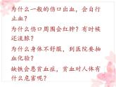 苏教版七年级下册生物 10.1血液和血型 课件
