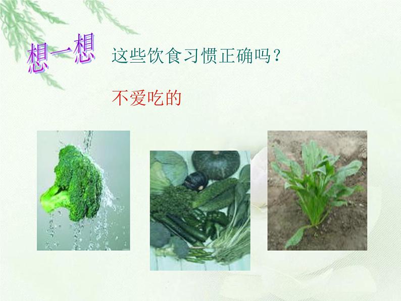 苏教版七年级下册生物 9.3膳食指南与食品安全 课件06