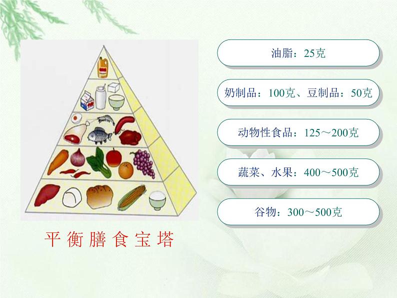 苏教版七年级下册生物 9.3膳食指南与食品安全 课件08