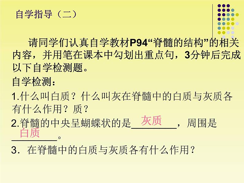 苏教版七年级下册生物 12.2人体的神经调节 课件第7页