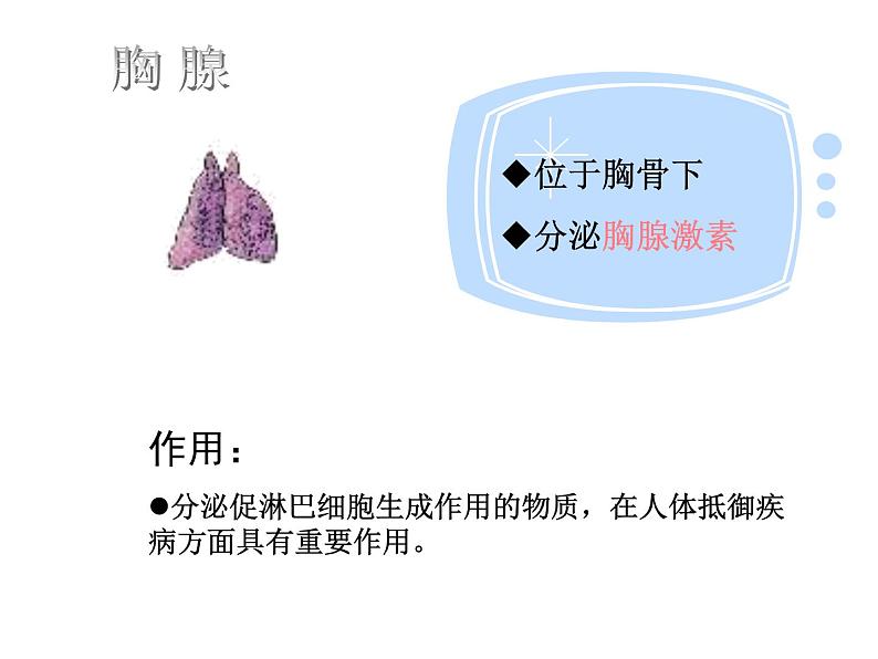 苏教版七年级下册生物 12.1人体的激素调节 课件第8页