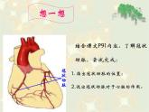 苏教版八年级下册生物 25.2威胁健康的主要疾病 课件