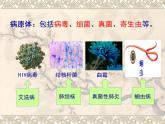 苏教版八年级下册生物 25.1传染病 课件