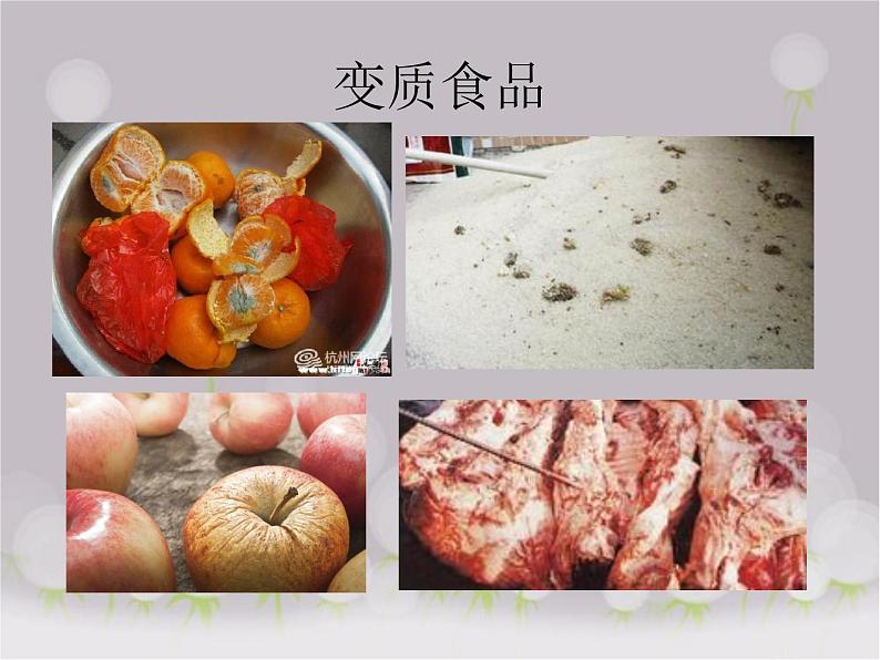 苏教版八年级下册生物 23.2食品保存 课件03