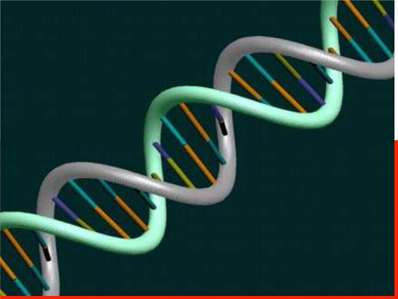 苏教版八年级下册生物 22.1DNA是主要的遗传物质 课件第1页