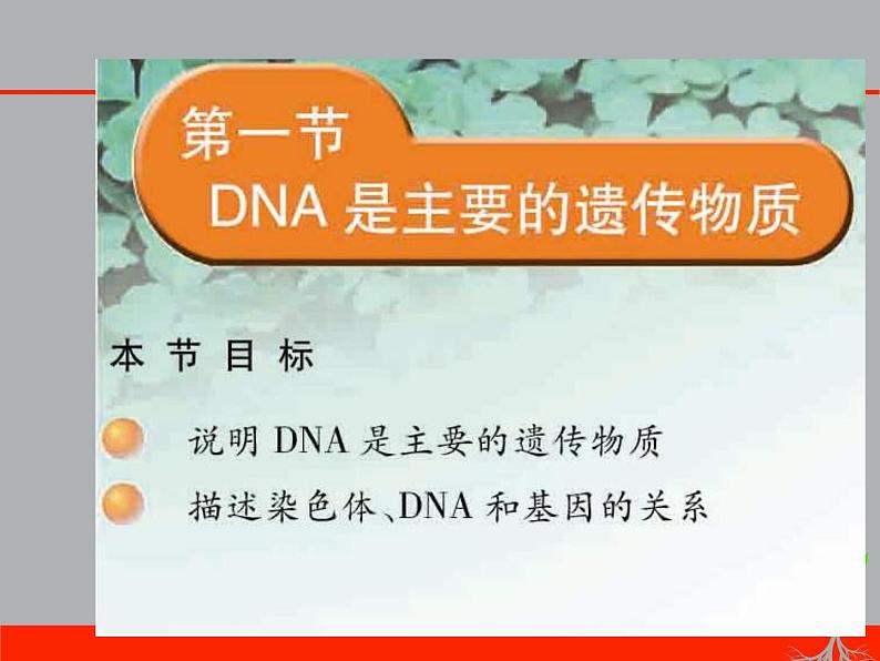 苏教版八年级下册生物 22.1DNA是主要的遗传物质 课件第4页